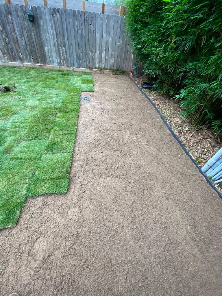 Residential lawn renewed with fresh sod